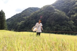 刄田綴色 シグネチャースネアドラム